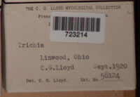 Image Associated With the Occurence